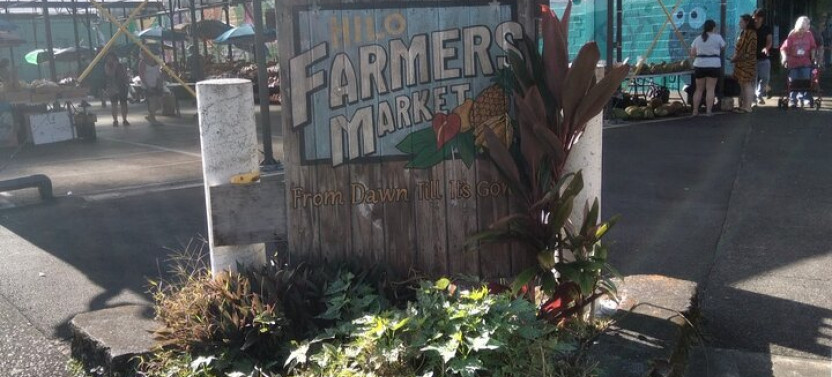 Hilo History And Legends (APP) Audio Self Guided Walking Tour