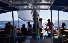 No Limits Adventure- Cape Verde37