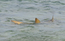 No Limits Adventure- Cape Verde14