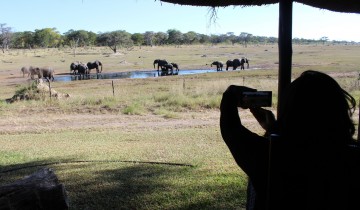 A picture of Hwange Overnight Safari from Victoria Falls