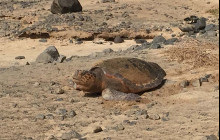 No Limits Adventure- Cape Verde17