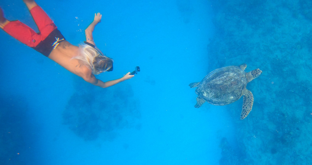 Waikiki Sail & Snorkel Cruise