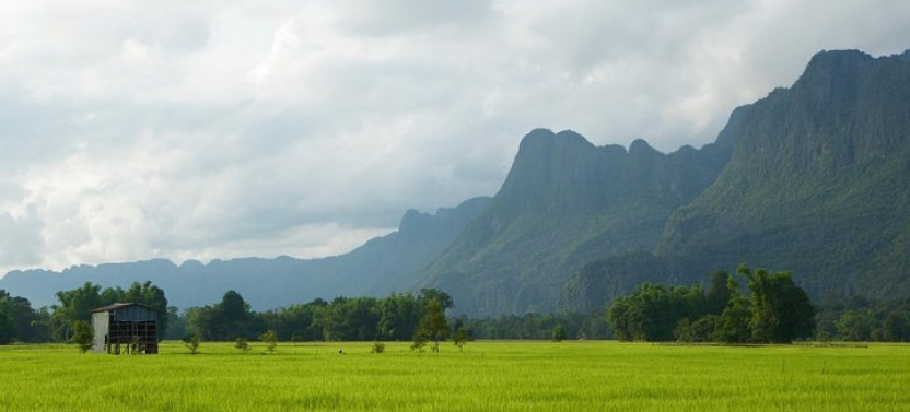 A Rice Journey in Luang Prabang