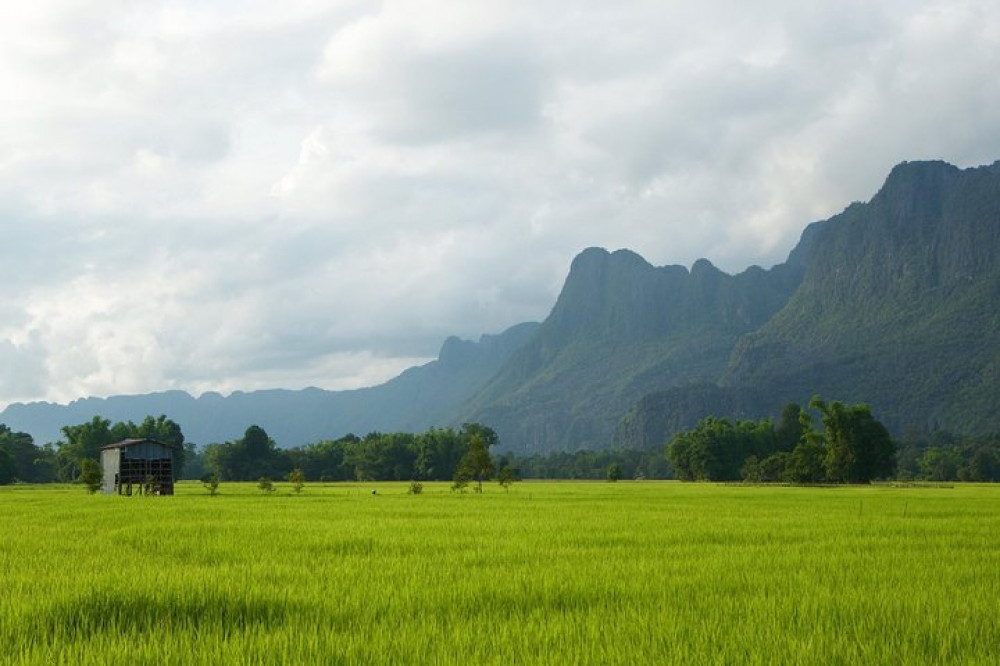 A Rice Journey in Luang Prabang