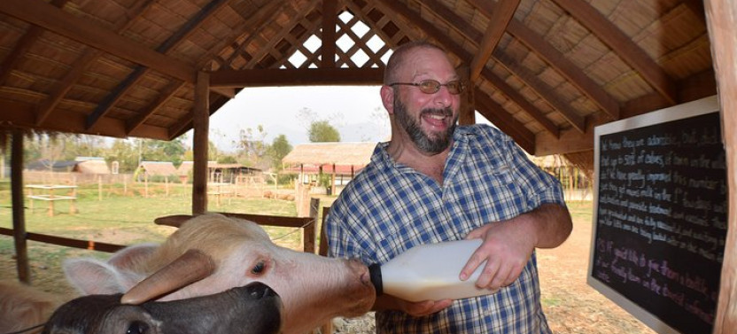Kuang Si Waterfalls & Lao Buffalo Dairy Farm