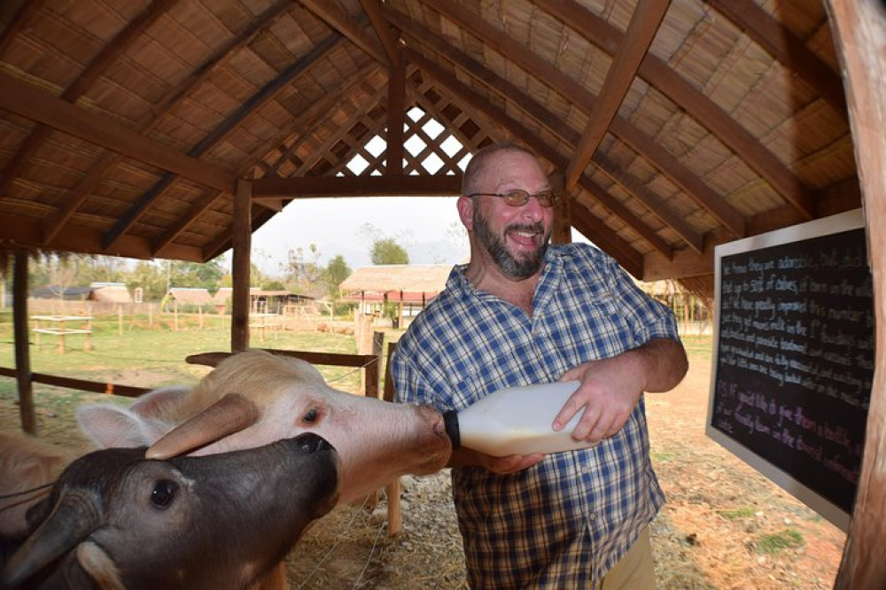 Kuang Si Waterfalls & Lao Buffalo Dairy Farm