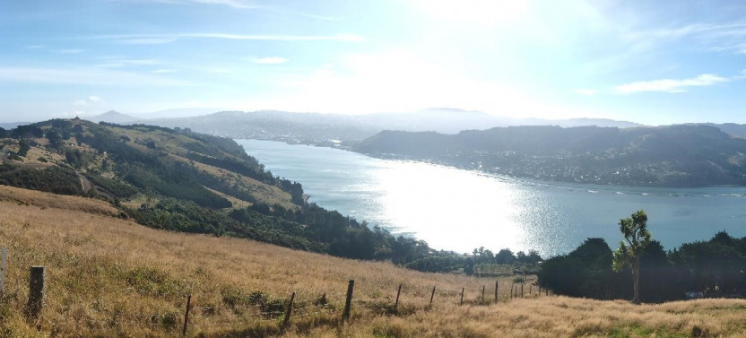 Dunedin City Highlights, Larnach Castle Gardens & Peninsula Views