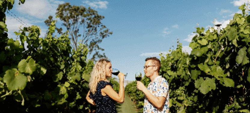 Hop on Hop off Wine Tasting Tour - From Brisbane