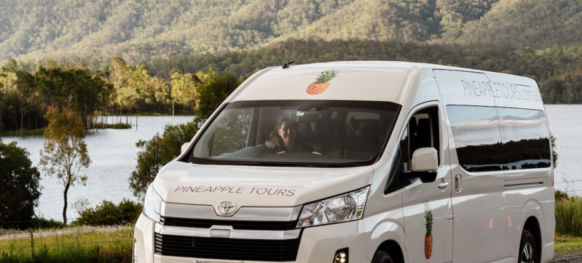 Hop on Hop off Wine Tasting Tour - From Brisbane