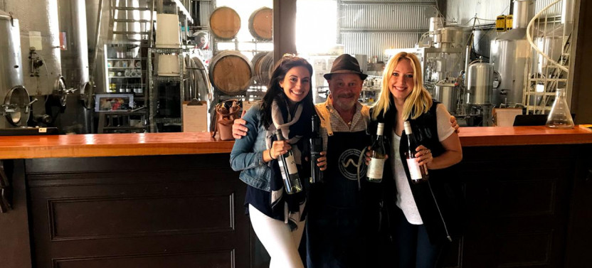 Hop on Hop off Wine Tasting Tour - From Gold Coast