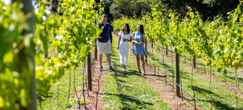 Premium Boutique Winery Tour - Brisbane Pickup