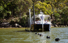 Pearls Of Australia1