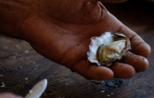 Pearls Of Australia8