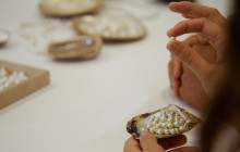 Pearls Of Australia2