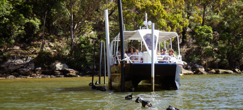 Oyster & Pearl Lovers with Bus Transfer from Hawkesbury River Station