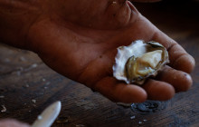 Pearls Of Australia5