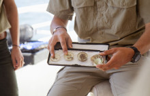 Pearls Of Australia8