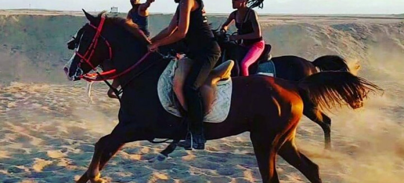 2-Hour Horse Riding & ATV Quad Bike Safari Trip From Sharm El Sheikh