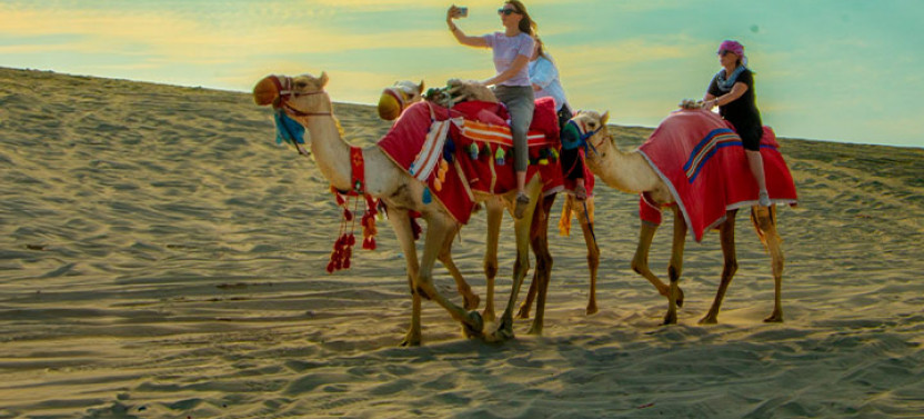 Full Day Desert Safari with Dinner or Lunch