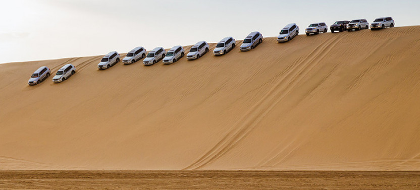 Full Day Desert Safari with Dinner or Lunch