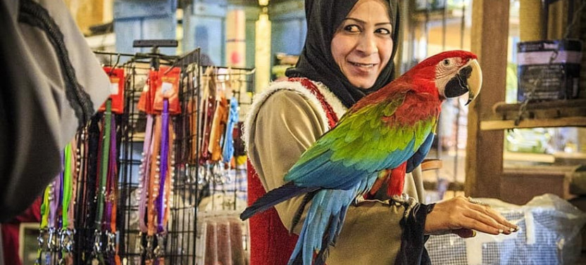 Treasure Hunt in Souq