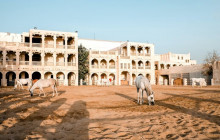 Experience Tours for Tourism Services6