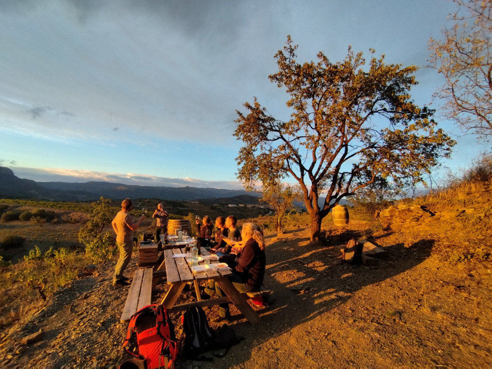 Sunset Walk & Wine Tasting In The Heart Of Priorat Vineyards