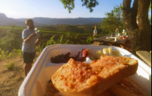 El Brogit - Ecotourism and Wine Tourism in Catalonia2