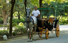 Andalucia Experiencias3