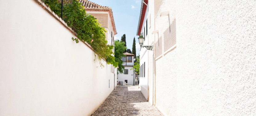 From Malaga: Granada & Alhambra Private Day Trip