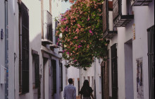 Andalucia Experiencias12