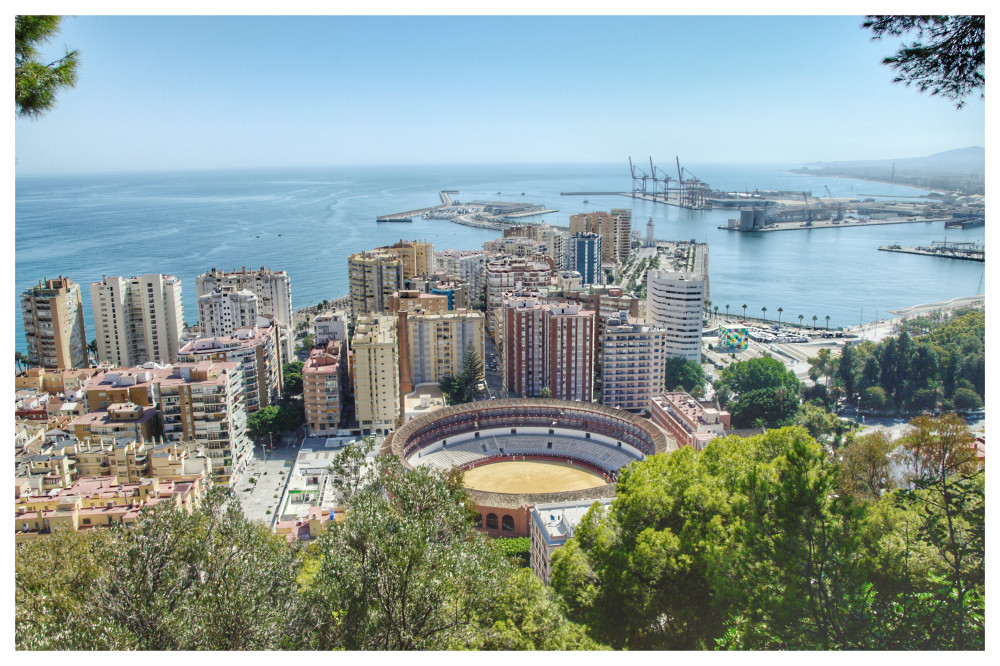 Malaga Highlights Private Guided Tour