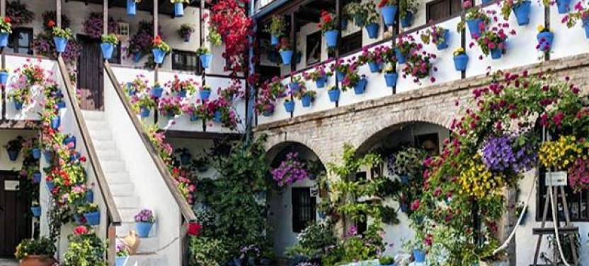From Seville: Cordoba Private Day Trip