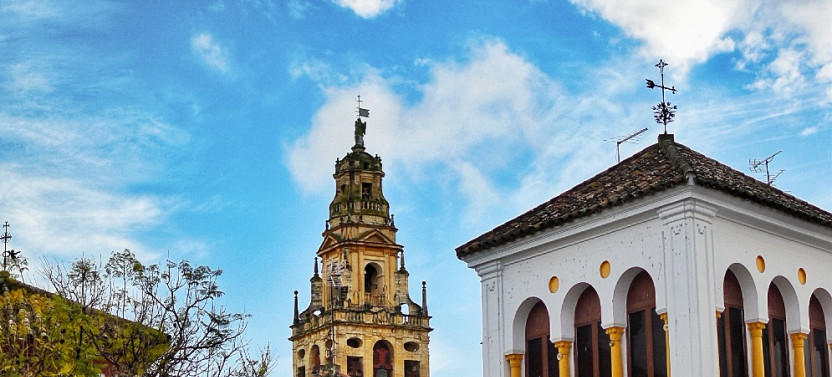 From Seville: Cordoba Private Day Trip