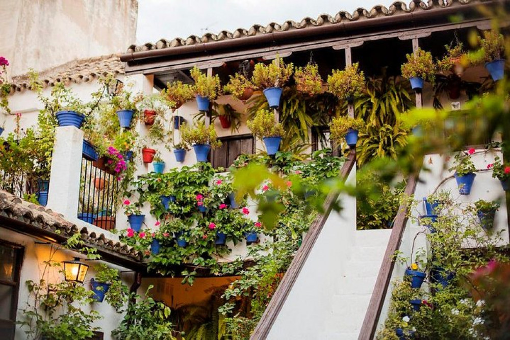 Off The Beaten Path. Cordoba Patios Private Tour