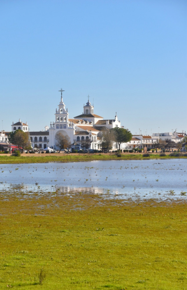 From Huelva: Doñana National Park Private Day Trip