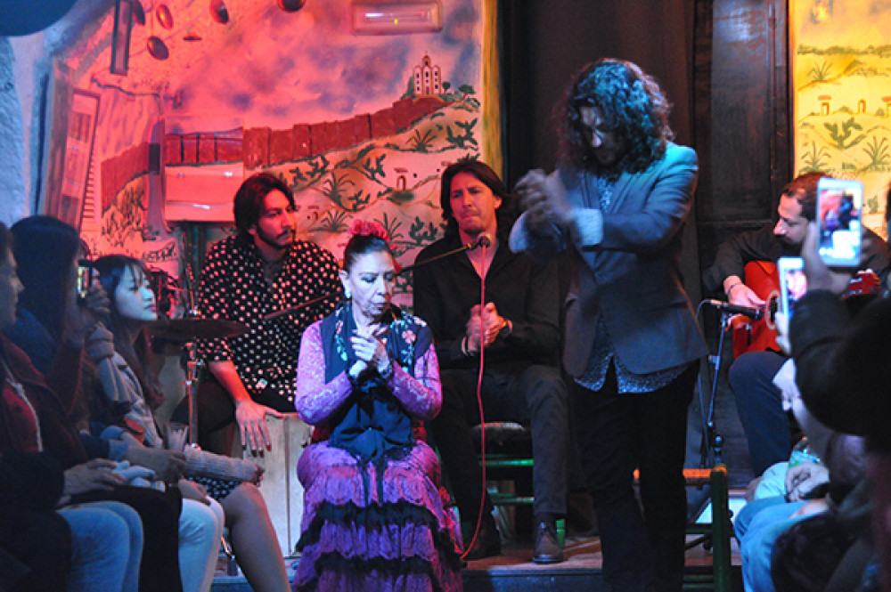 Flamenco Show In Sacromonte Caves