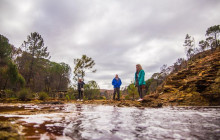 Andalucia Experiencias5