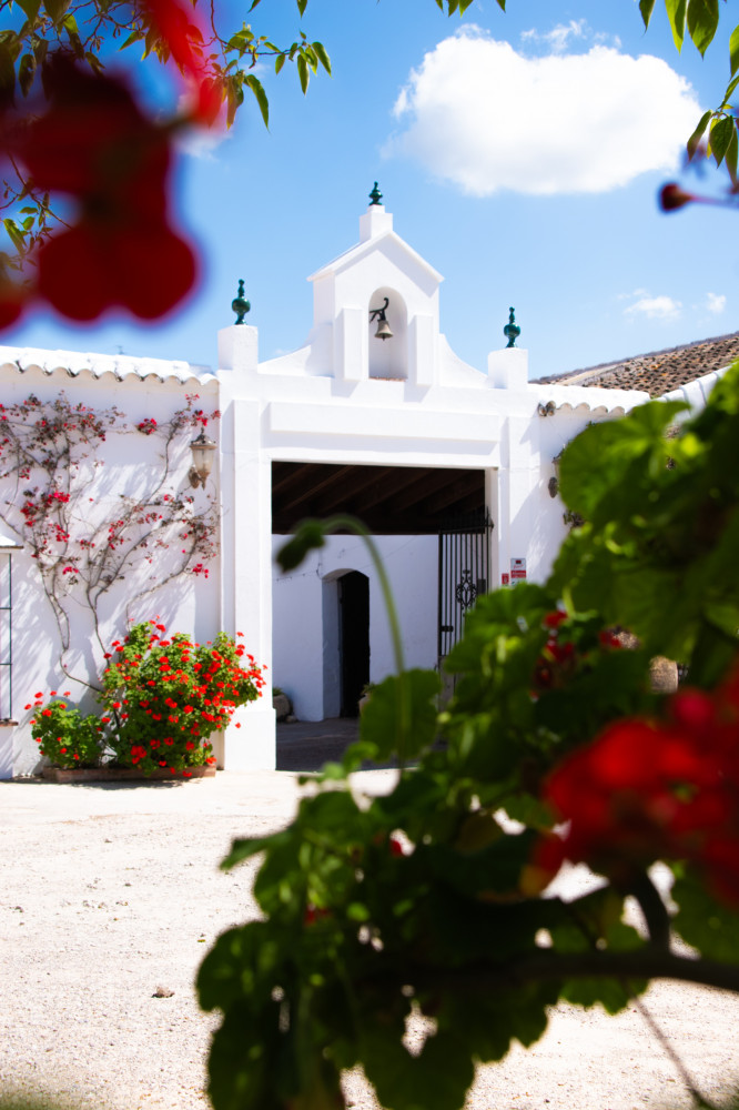 From Seville: Visit Traditional Oil Mill