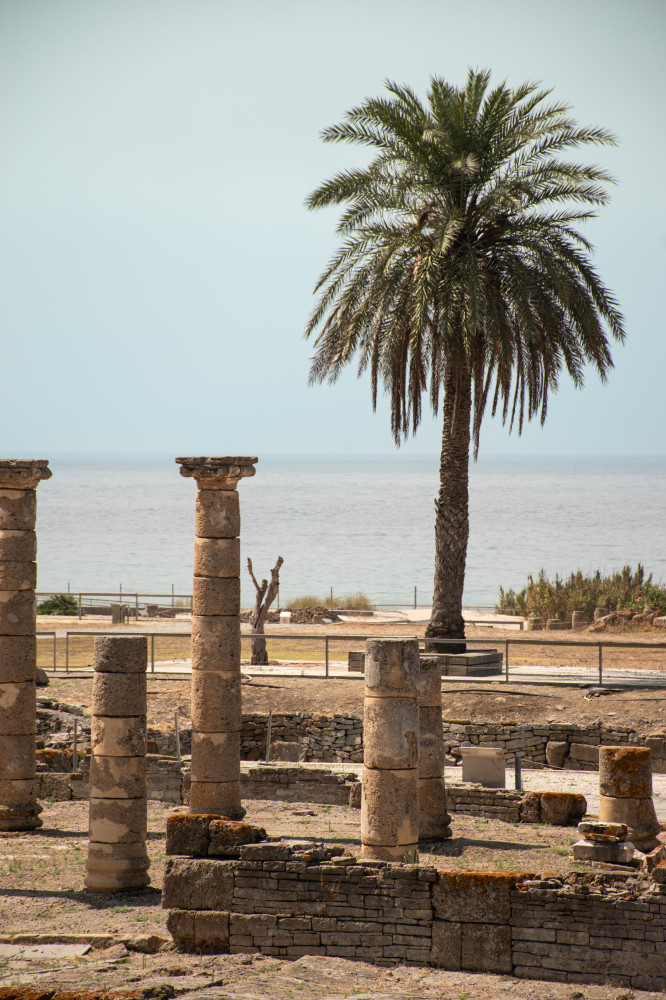 Andalucia Experiencias