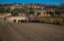 Andalucia Experiencias2