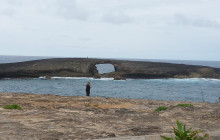 Hawaii Convertible Tours5