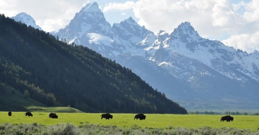 Sunrise Tour In Grand Teton National Park