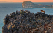 Crete Private & Luxury Tours by Snami Travel20