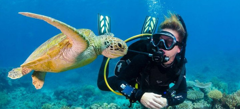 Scuba Diving & Snorkeling On Catalina Island | 2 Tanks, 2 Spots