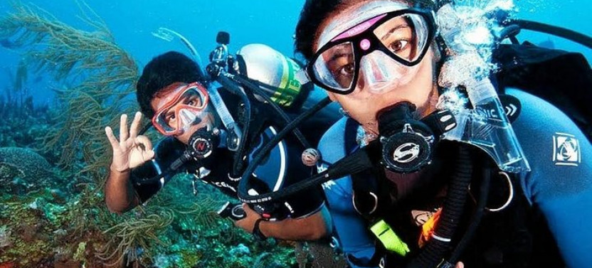Scuba Diving & Snorkeling On Catalina Island | 2 Tanks, 2 Spots