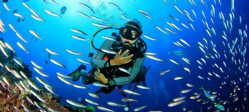 Scuba Diving & Snorkeling On Catalina Island | 2 Tanks, 2 Spots