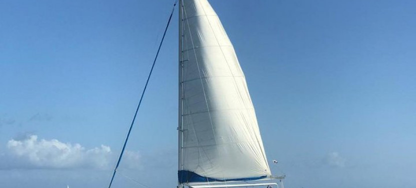 Full-day Cruise To Saona Island - Natural Pool And Lunch