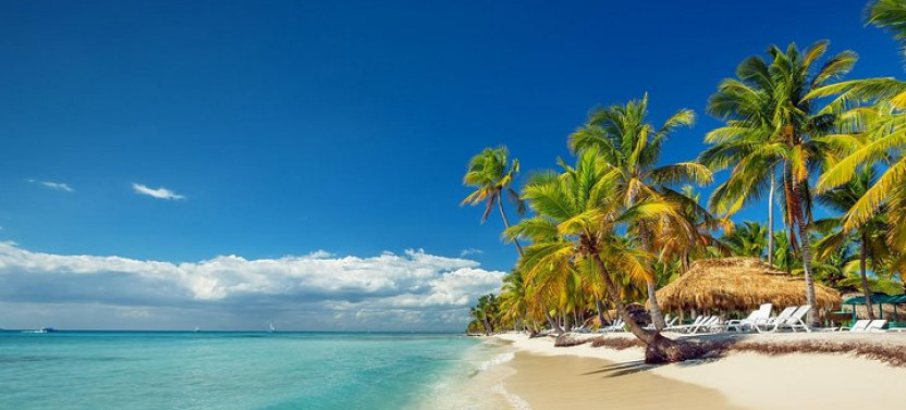 Full-day Cruise To Saona Island - Natural Pool And Lunch