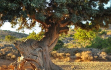 Crete Private & Luxury Tours by Snami Travel25